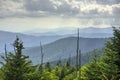 Below Clingmans Dome in Newfound Gap Area of Smoky Mountains